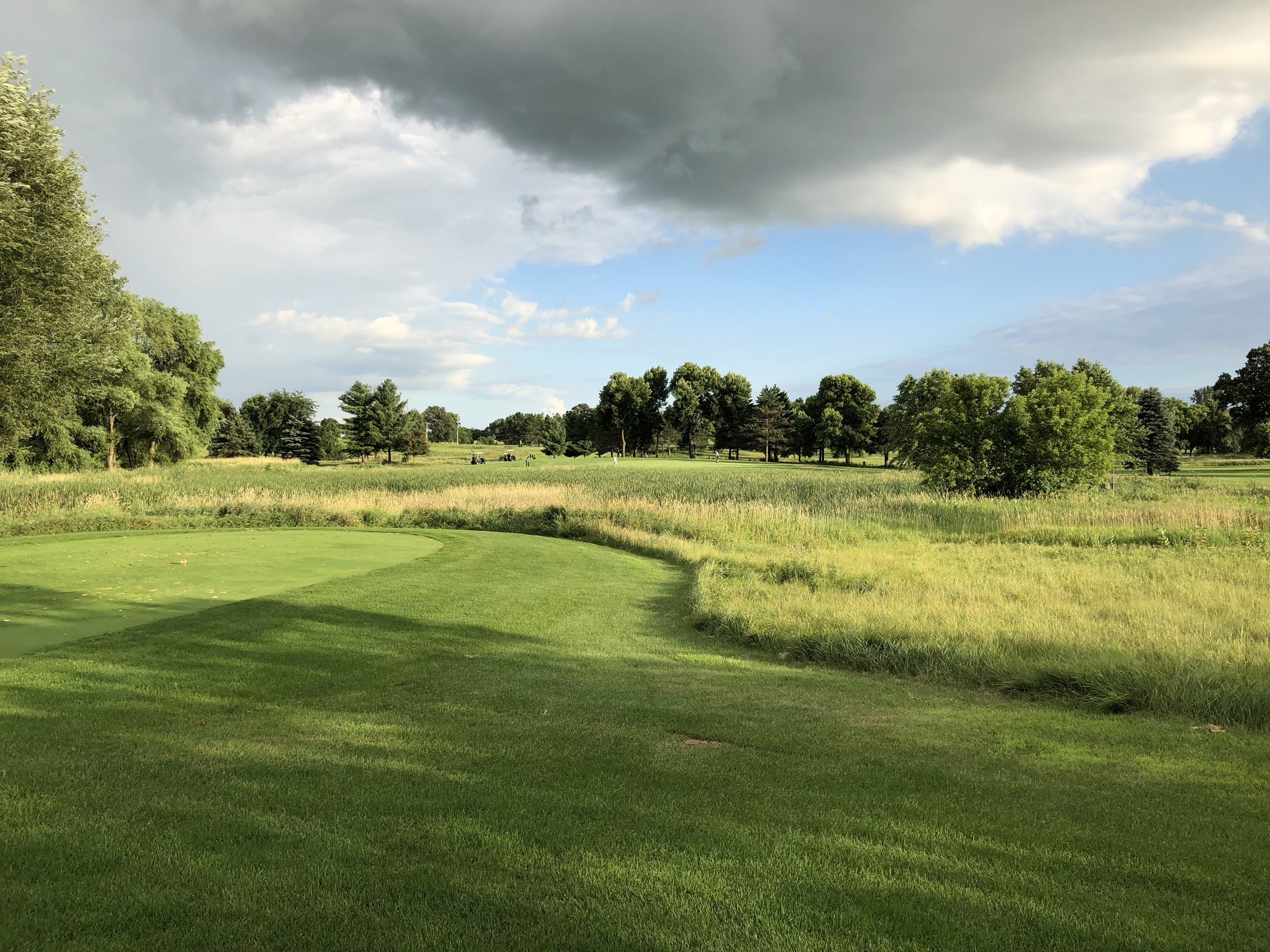 A green bordered by tall grass under a dramatic sky at Montgomery National Golf Club